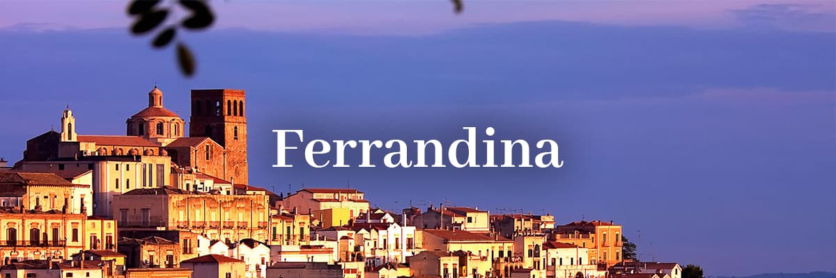 slide_bottom_ferrandina