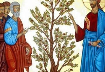 Il Regno di Dio, intreccio tra Vangelo e vita – XI DOMENICA DEL TEMPO ORDINARIO (ANNO B) – LECTIO DIVINA