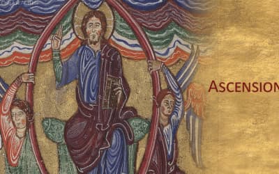 Elevare lo spirito e promuovere l’umano – ASCENSIONE DEL SIGNORE (ANNO C) – Lectio divina
