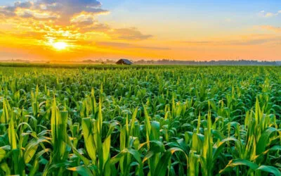 42a Giornata Mondiale del Turismo 2021: “Turismo per la crescita inclusiva. La persona oltre le statistiche” (27 settembre 2021)