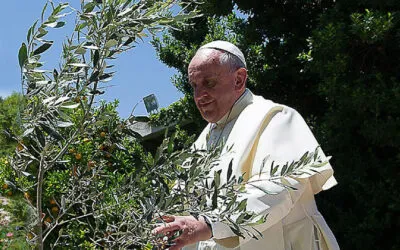 Messaggio del Santo Padre, Papa Francesco
