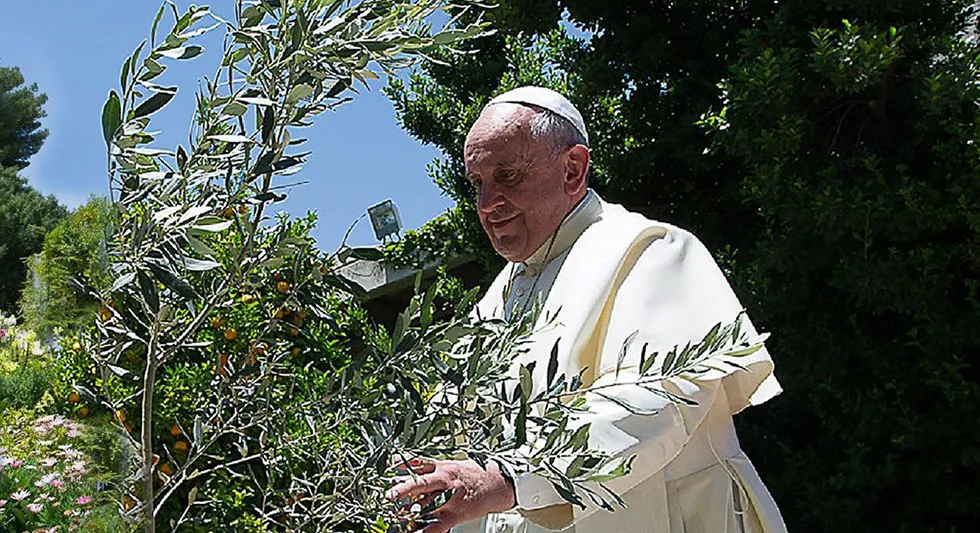 Messaggio del Santo Padre, Papa Francesco