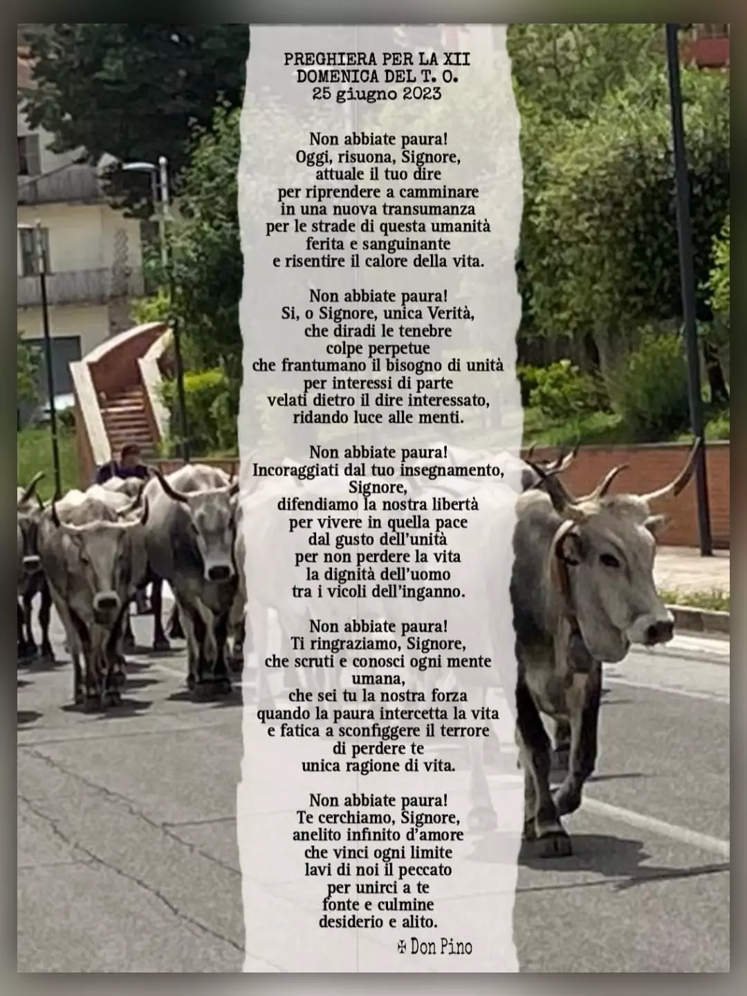 Preghiera per la Dodicesima Domenica del tempo ordinario