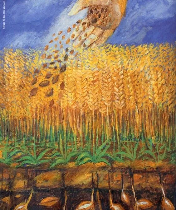 Il seme della Parola nei solchi dell’umanità – XV DOMENICA DEL TEMPO ORDINARIO (ANNO A) – Lectio Divina