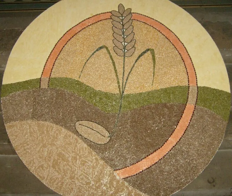 Le radici dell’amore di Dio piantate nel cuore dell’uomo – V DOMENICA DI QUARESIMA (ANNO B) – Lectio divina