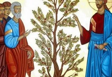 Il Regno di Dio, intreccio tra Vangelo e vita – XI DOMENICA DEL TEMPO ORDINARIO (ANNO B) – LECTIO DIVINA