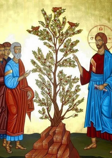 Il Regno di Dio, intreccio tra Vangelo e vita – XI DOMENICA DEL TEMPO ORDINARIO (ANNO B) – LECTIO DIVINA