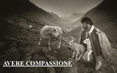 Missione compiuta? – XVI DOMENICA DEL TEMPO ORDINARIO (ANNO B) – Lectio divina