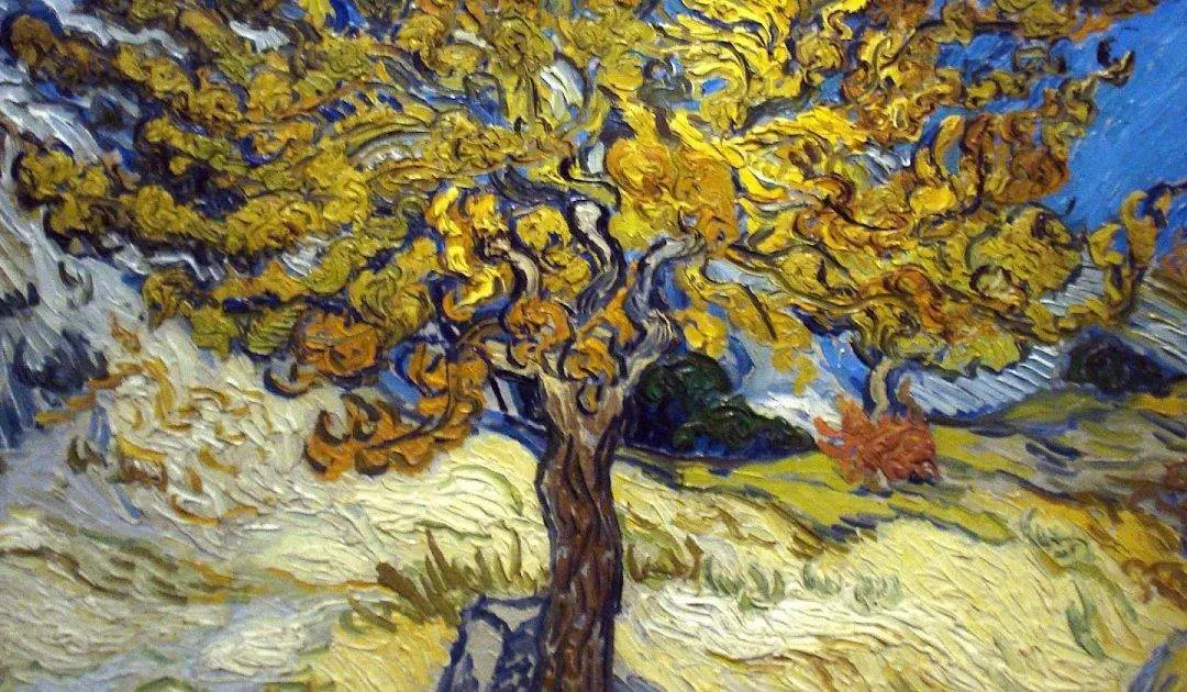 Il cuore puro, fecondo d’amore – VIII DOMENICA DEL TEMPO ORDINARIO (ANNO C) – Lectio divina