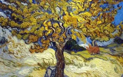 Il cuore puro, fecondo d’amore – VIII DOMENICA DEL TEMPO ORDINARIO (ANNO C) – Lectio divina