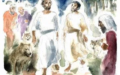 Operai del Vangelo – XIV DOMENICA DEL TEMPO ORDINARIO (ANNO C) – Lectio divina